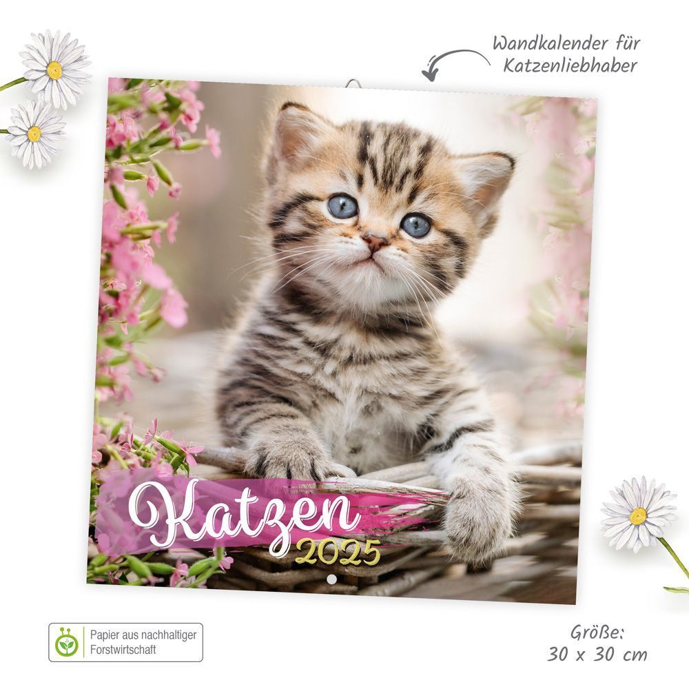 Bild: 9783988021892 | Trötsch Broschürenkalender Katzen 2025 | Wandplaner | Co.KG | Kalender