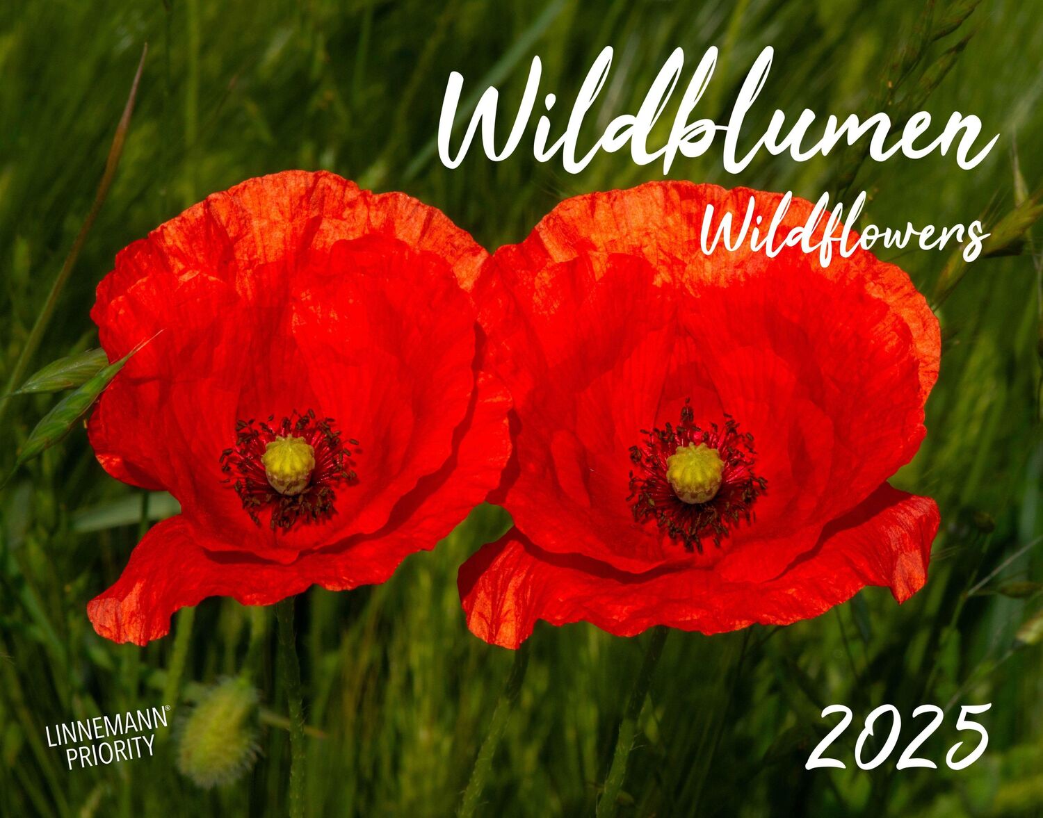 Cover: 9783862923403 | Wildblumen 2025 Großformat-Kalender 58 x 45,5 cm | Wildflowers 2025