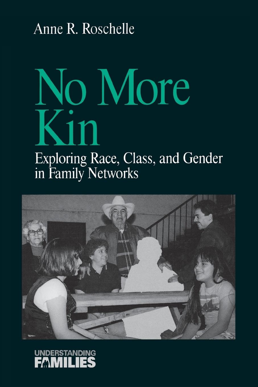 Cover: 9780761901594 | No More Kin | Exploring Race, Class, and Gender in Family Networks