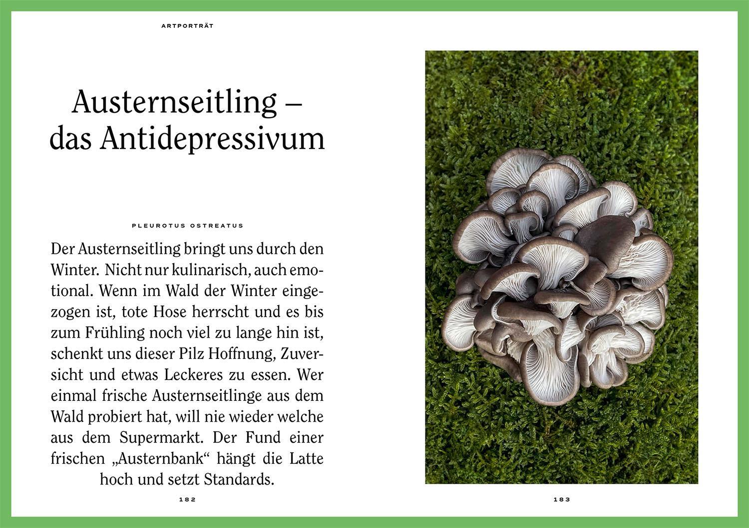 Bild: 9783440179260 | Mushroom Fever | Über die Liebe zu Pilzen und wo du sie findest | Buch