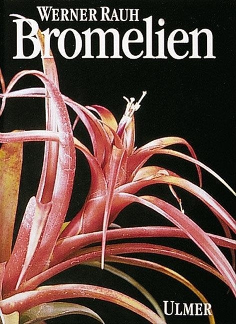 Cover: 9783800163717 | Bromelien | Tillandsien und andere kulturwürdige Bromelien | Rauh