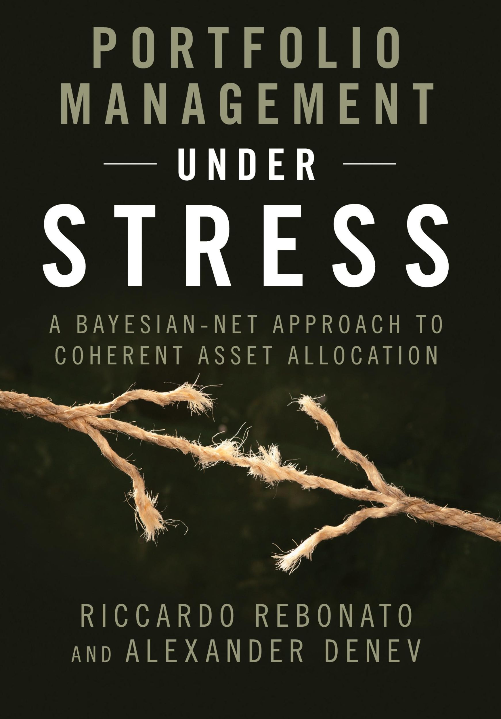 Cover: 9781107048119 | Portfolio Management under Stress | Riccardo Rebonato (u. a.) | Buch