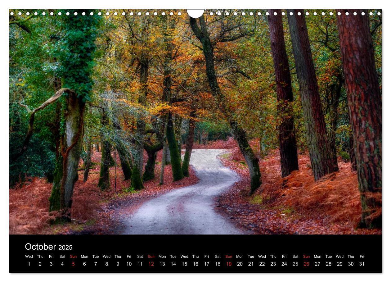 Bild: 9781325951734 | New Forest Hampshire (Wall Calendar 2025 DIN A3 landscape),...