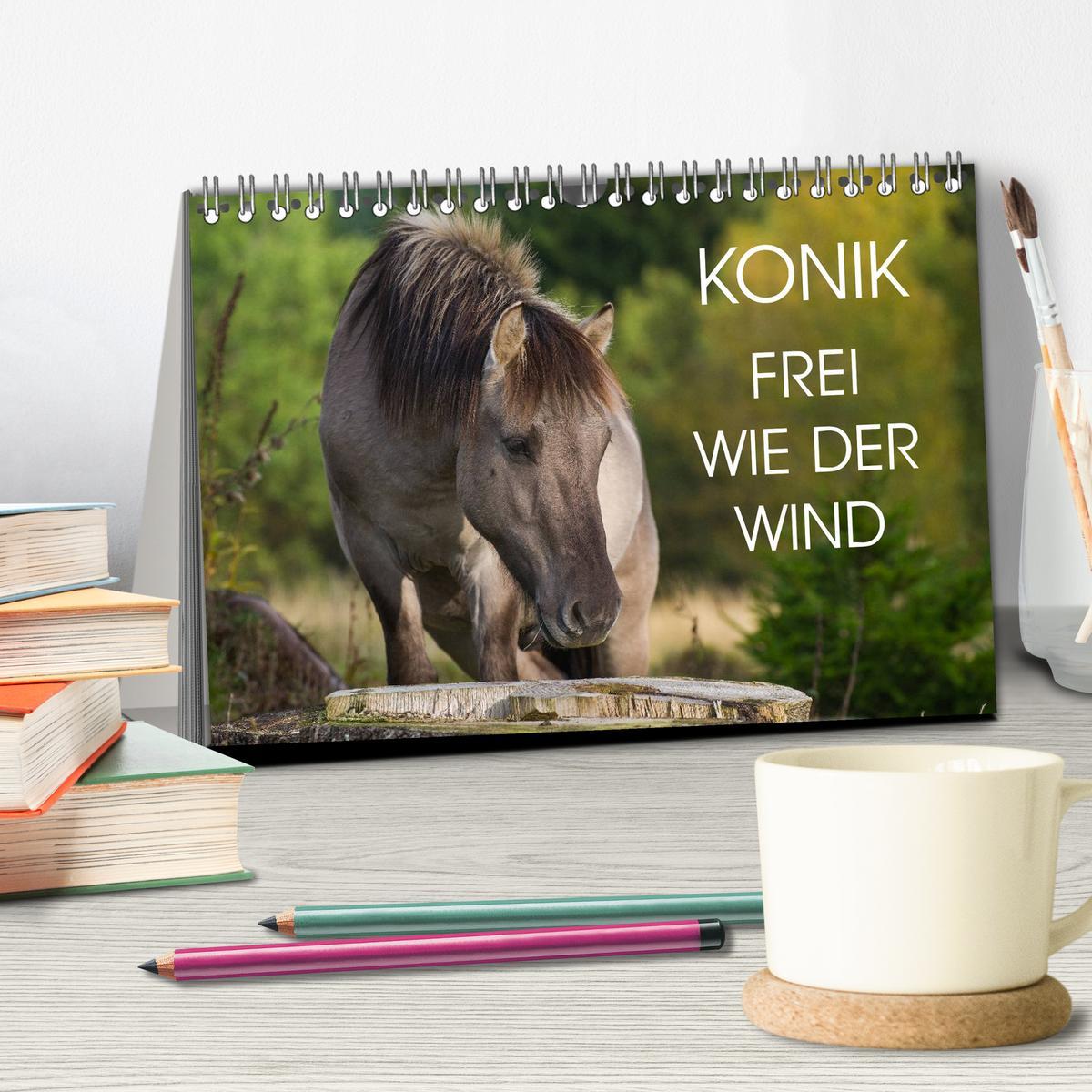 Bild: 9783435572434 | Konik - Frei geboren (Tischkalender 2025 DIN A5 quer), CALVENDO...