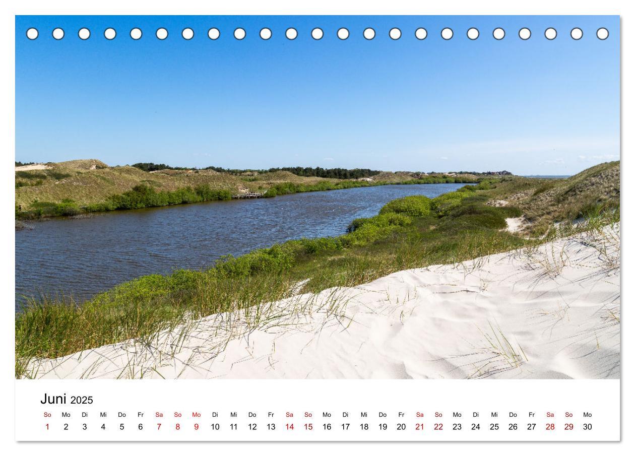 Bild: 9783383896651 | Amrum - Das Paradies in der Nordsee (Tischkalender 2025 DIN A5...