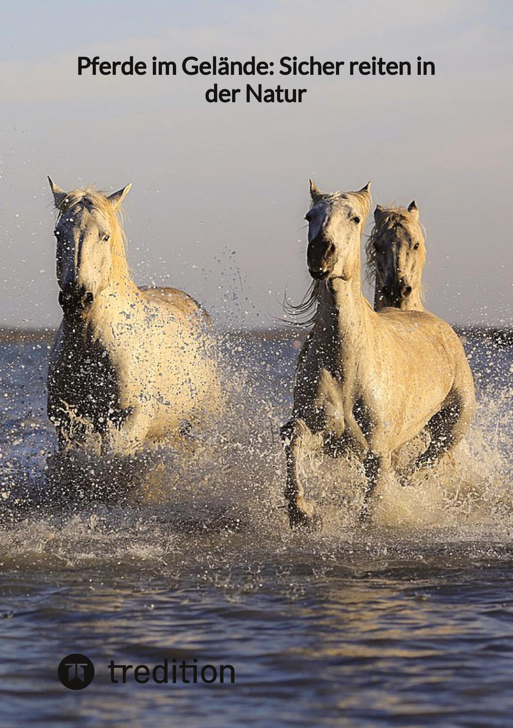 Cover: 9783347855595 | Pferde im Gelände: Sicher reiten in der Natur | Moritz | Taschenbuch