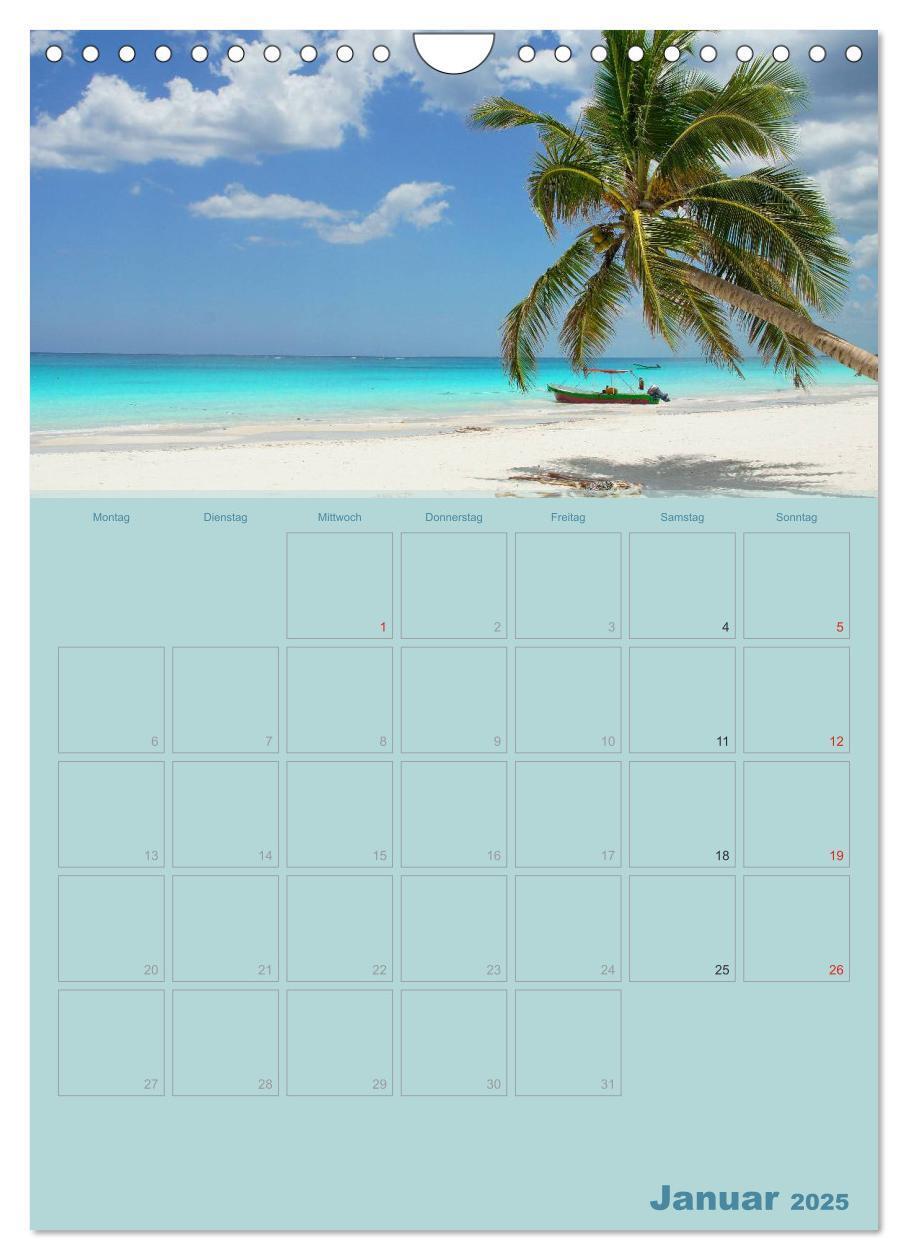 Bild: 9783457049600 | Karibik - Sonne, Strand und Palmen (Wandkalender 2025 DIN A4 hoch),...