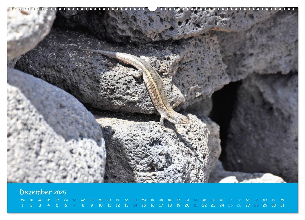 Bild: 9783435244485 | Cabo verde Inselgeflüster - Ilha do Sal (Wandkalender 2025 DIN A2...