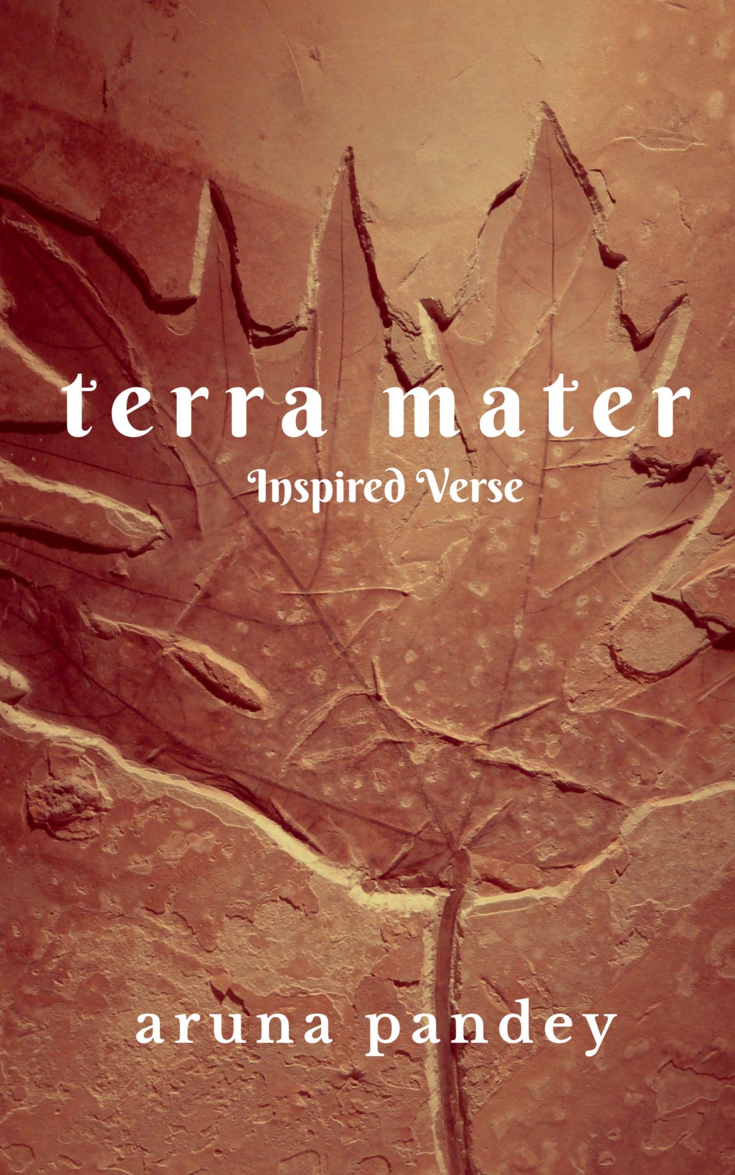 Cover: 9798887040356 | Terra Mater | Aruna Pandey | Taschenbuch | Paperback | Englisch | 2022