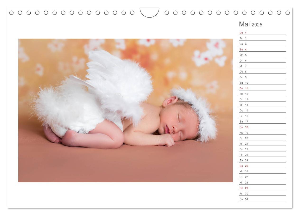 Bild: 9783435438419 | Aller Anfang ist klein - Babykalender mit Noah (Wandkalender 2025...