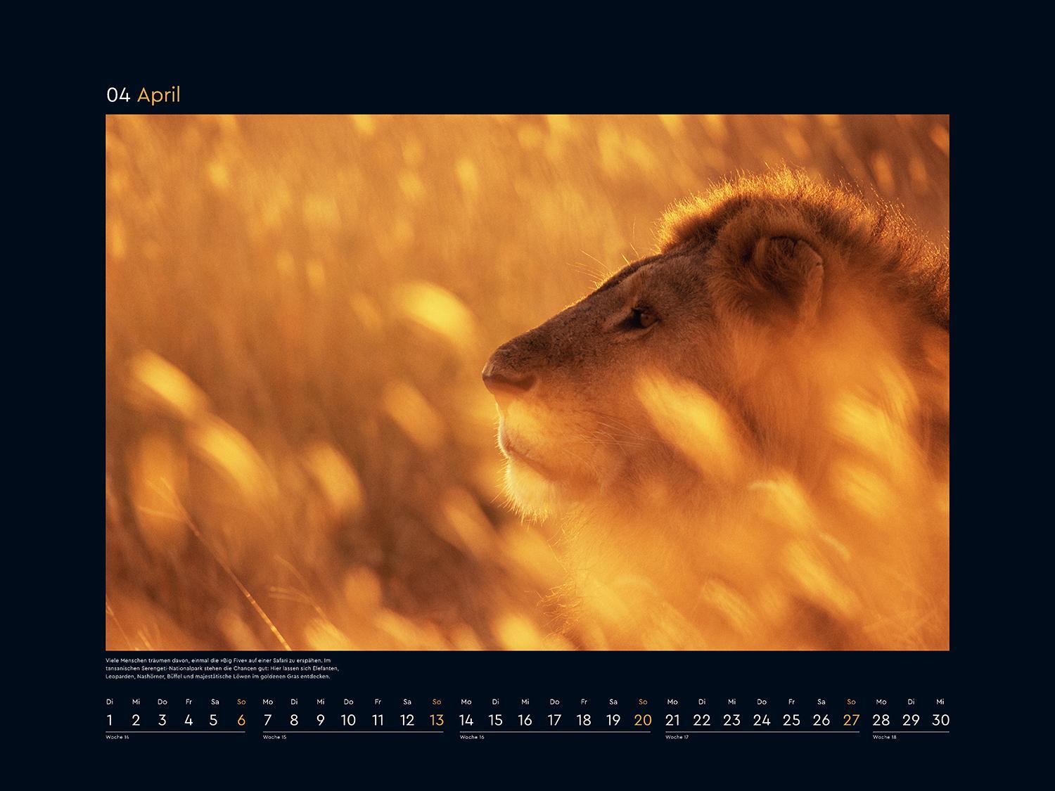 Bild: 9783965913677 | Gold - KUNTH Wandkalender 2025 | Kalender | 14 S. | Deutsch | 2025