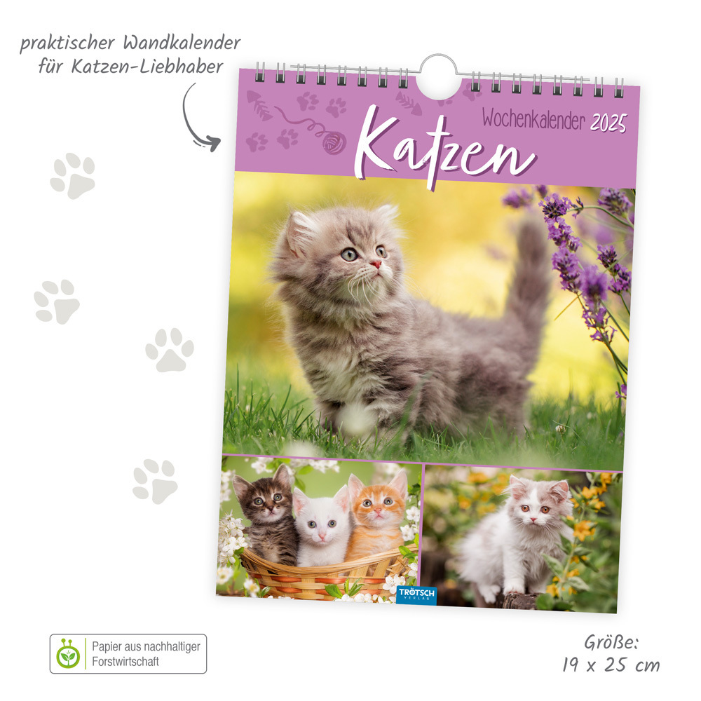 Bild: 9783988022707 | Trötsch Wochenkalender zum Hängen Katzen 2025 | Wandkalender | Co.KG