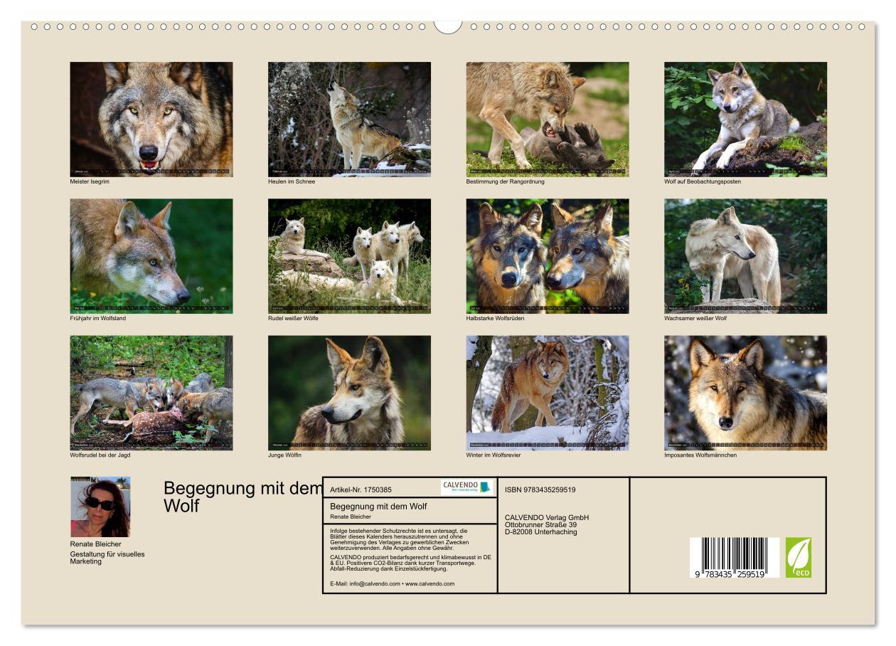 Bild: 9783435259519 | Begegnung mit dem Wolf (hochwertiger Premium Wandkalender 2025 DIN...