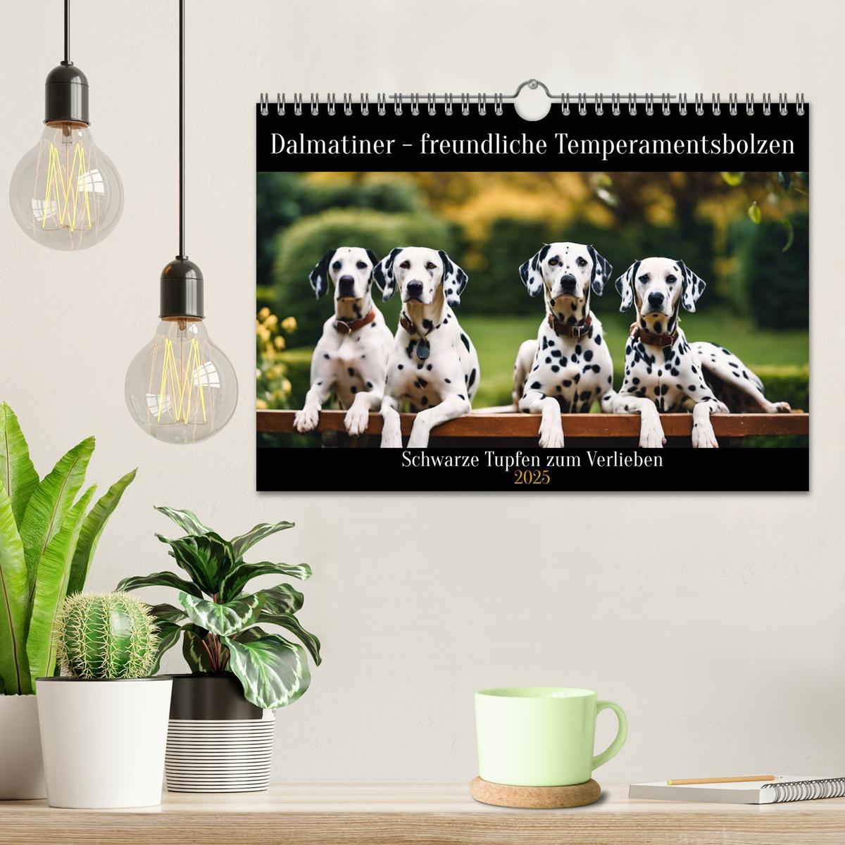 Bild: 9783383829437 | Dalmatiner - freundliche Temperamentsbolzen (Wandkalender 2025 DIN...