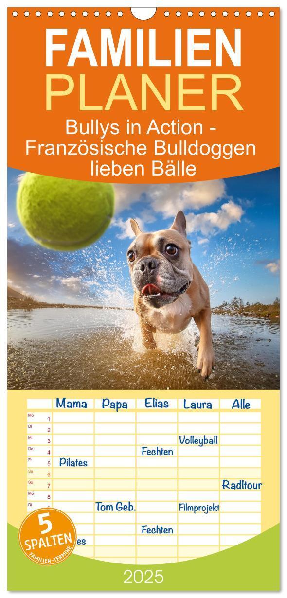 Cover: 9783457193877 | Familienplaner 2025 - Bullys in Action - Französische Bulldoggen...