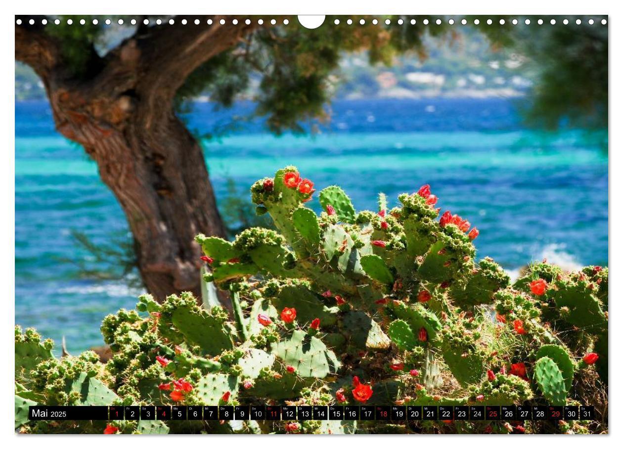 Bild: 9783435828791 | MALLORCA zum VERLIEBEN (Wandkalender 2025 DIN A3 quer), CALVENDO...