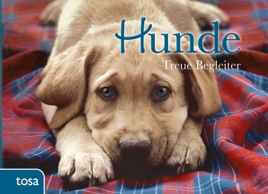 Cover: 9783863132569 | Hunde | Treue Begleiter | Buch | 288 S. | Deutsch | 2012 | Tosa GmbH