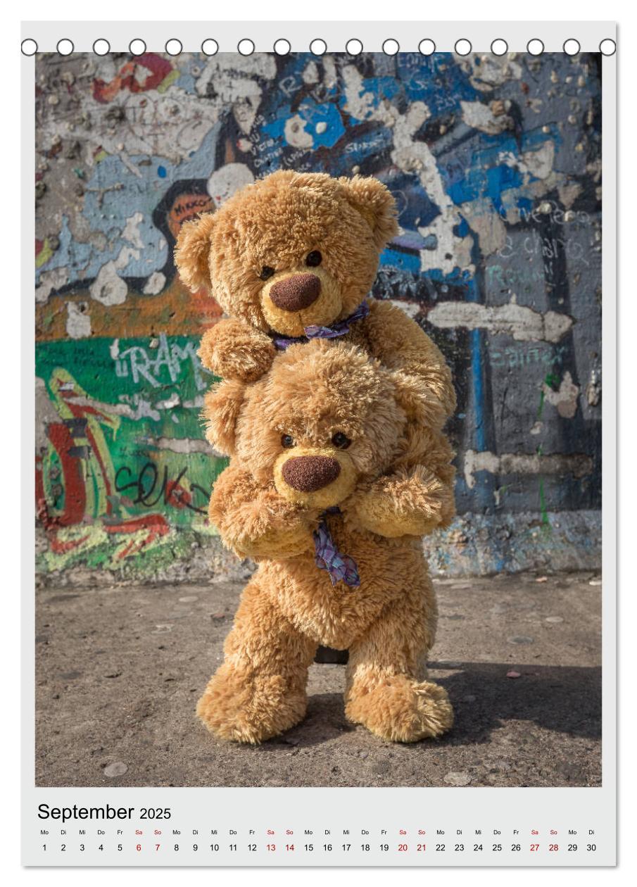 Bild: 9783435984534 | Travelling Teddy in Europa (Tischkalender 2025 DIN A5 hoch),...