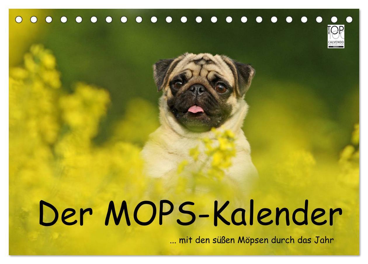 Cover: 9783435768424 | Der MOPS-Kalender (Tischkalender 2025 DIN A5 quer), CALVENDO...