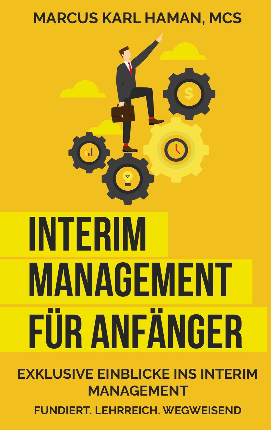 Cover: 9783732233250 | Interim Management für Anfänger | Aller Anfang ist schwer! | Msc Haman