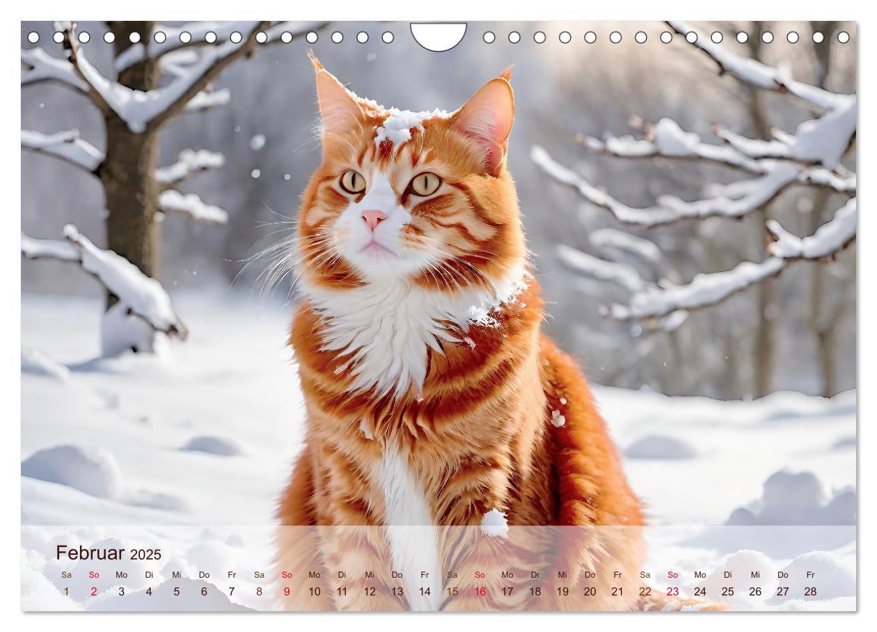 Bild: 9783383817830 | Rote Katzen (Wandkalender 2025 DIN A4 quer), CALVENDO Monatskalender