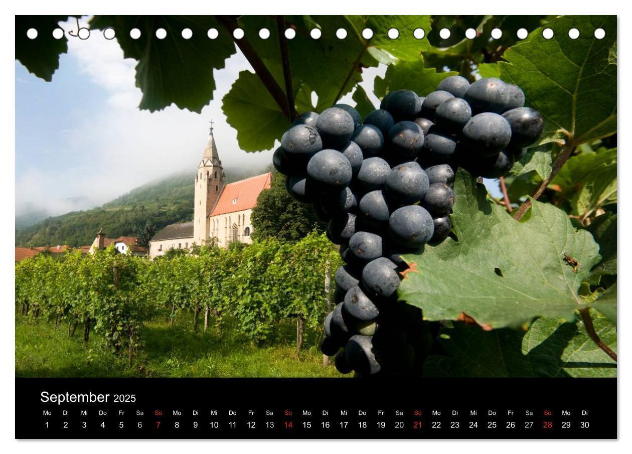 Bild: 9783435700967 | Wachau, Wachau, du Träumerin (Tischkalender 2025 DIN A5 quer),...