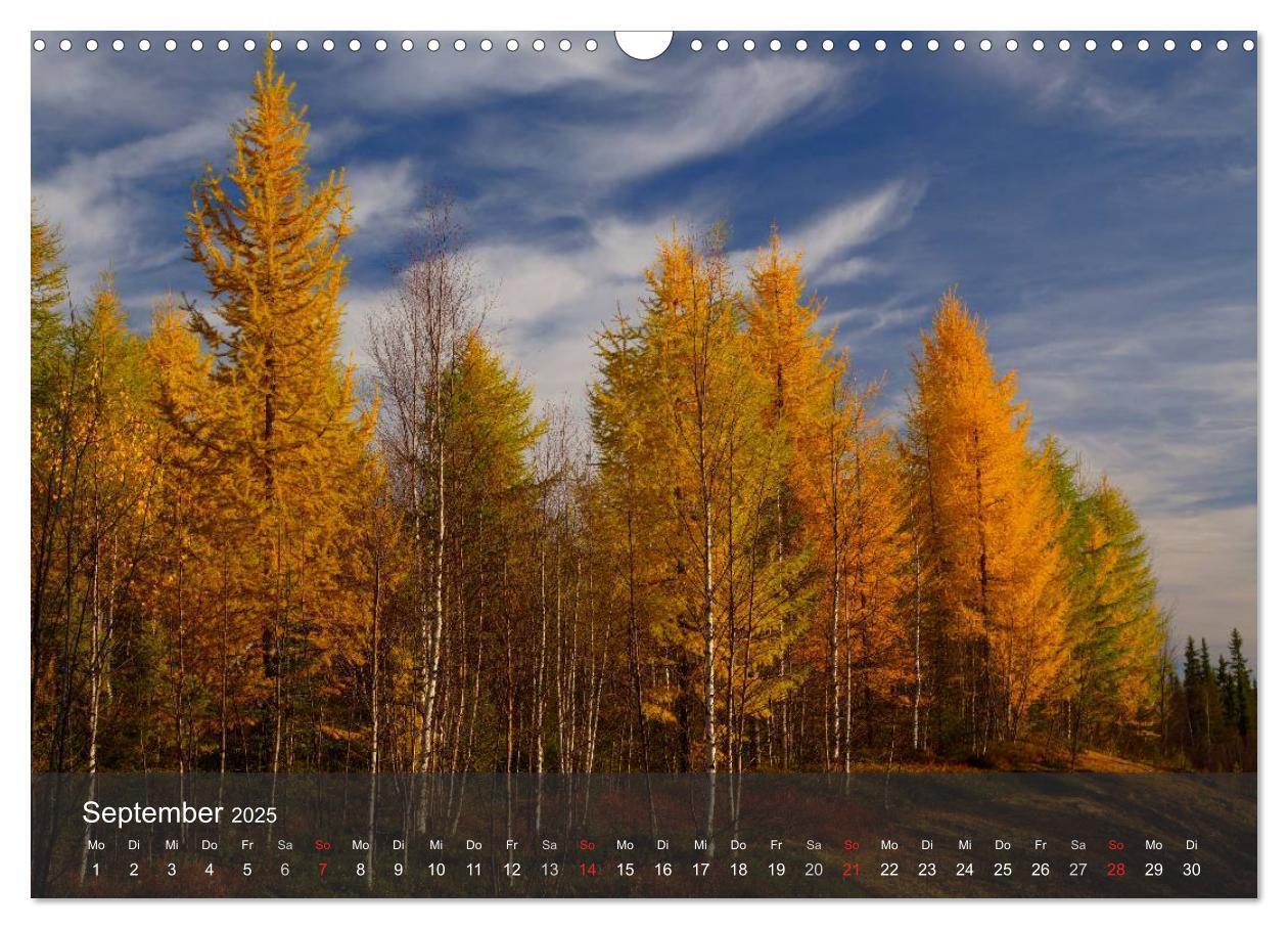 Bild: 9783435777266 | Lappland 2025 (Wandkalender 2025 DIN A3 quer), CALVENDO Monatskalender