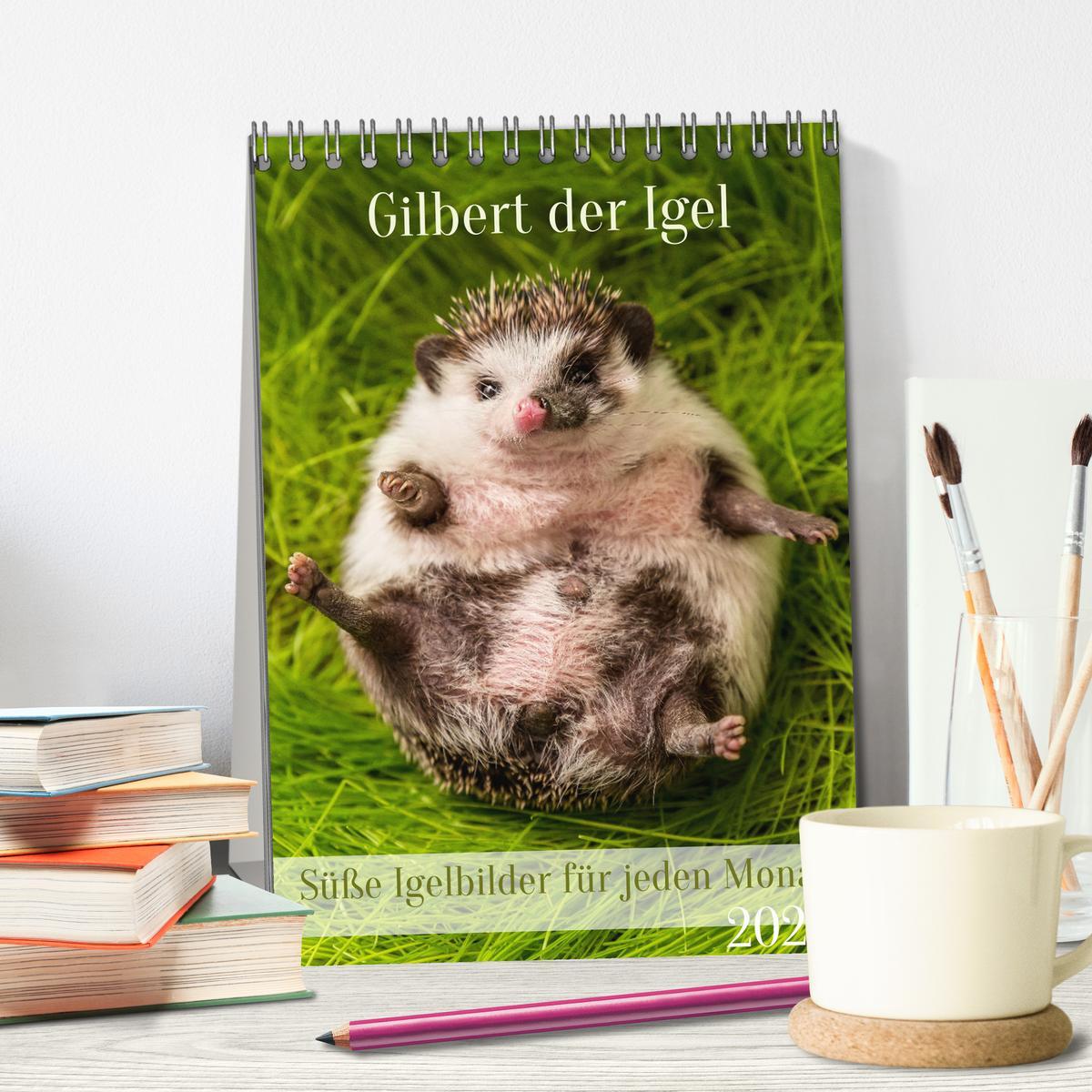 Bild: 9783435877119 | Gilbert der Igel (Tischkalender 2025 DIN A5 hoch), CALVENDO...