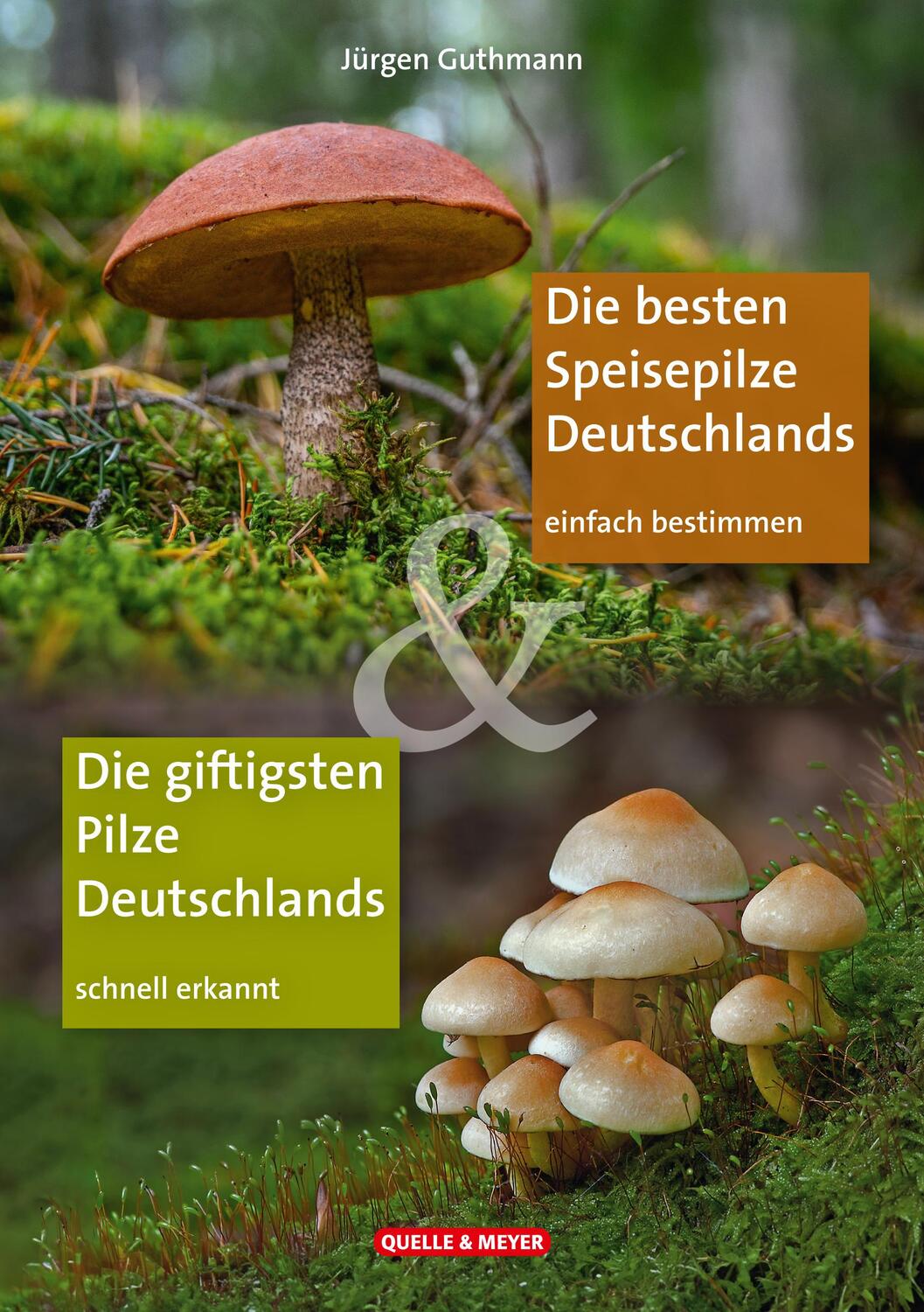 Cover: 9783494019789 | Die besten Speisepilze &amp; Die giftigsten Pilze Deutschlands | Guthmann