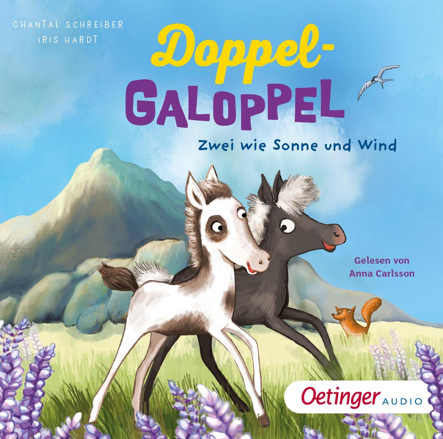 Cover: 9783837312027 | Doppel-Galoppel 1. Zwei wie Sonne und Wind | Zwei wie Sonne und Wind