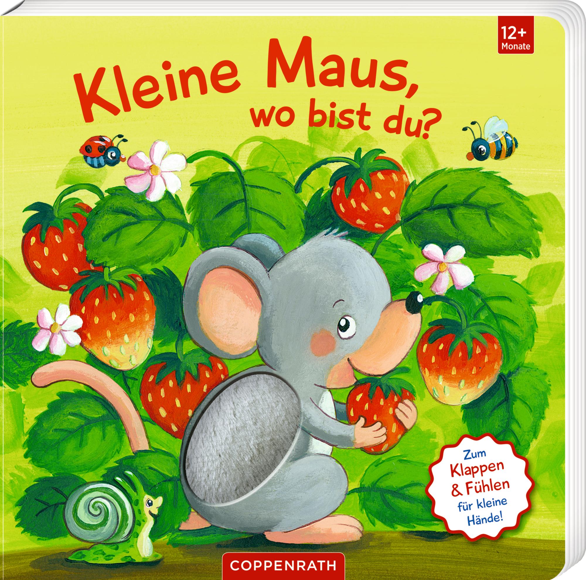 Cover: 9783649649397 | Mein erstes Guckloch-Fühlbuch: Kleine Maus, wo bist du? | Kraushaar