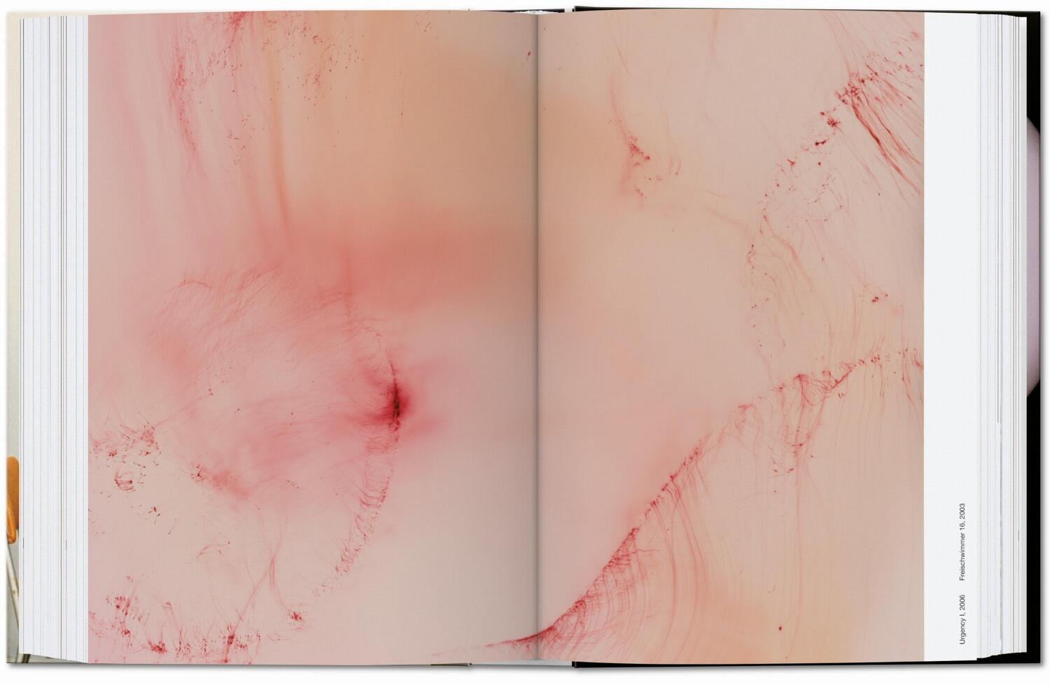 Bild: 9783836582537 | Wolfgang Tillmans. four books. 40th Ed. | Buch | GER, Hardcover | 2020