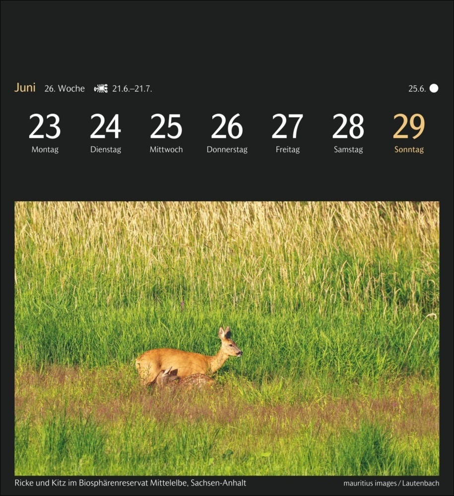 Bild: 9783840035289 | Deutschlands Natur Postkartenkalender 2025 - Kalender mit 53...