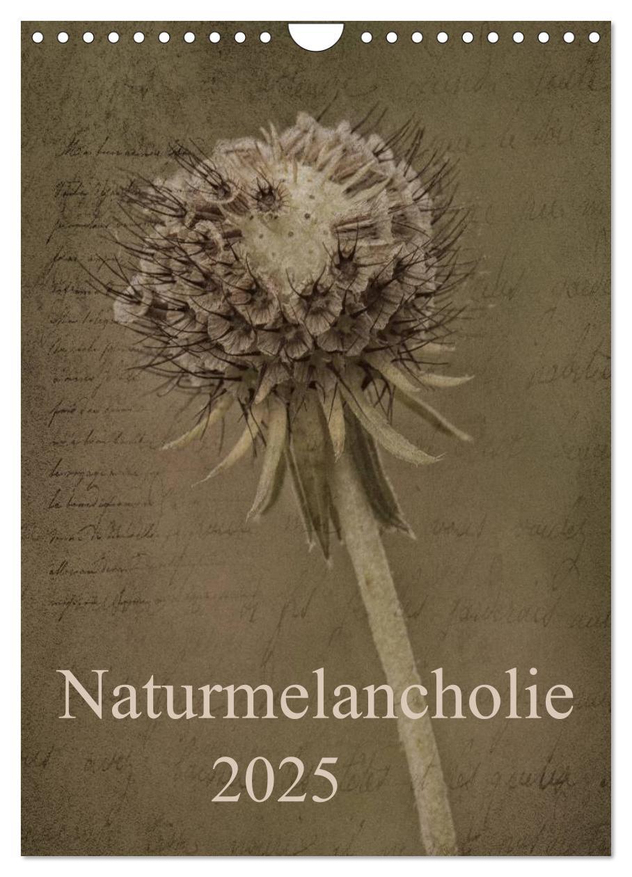 Cover: 9783457039106 | Naturmelancholie 2025 (Wandkalender 2025 DIN A4 hoch), CALVENDO...