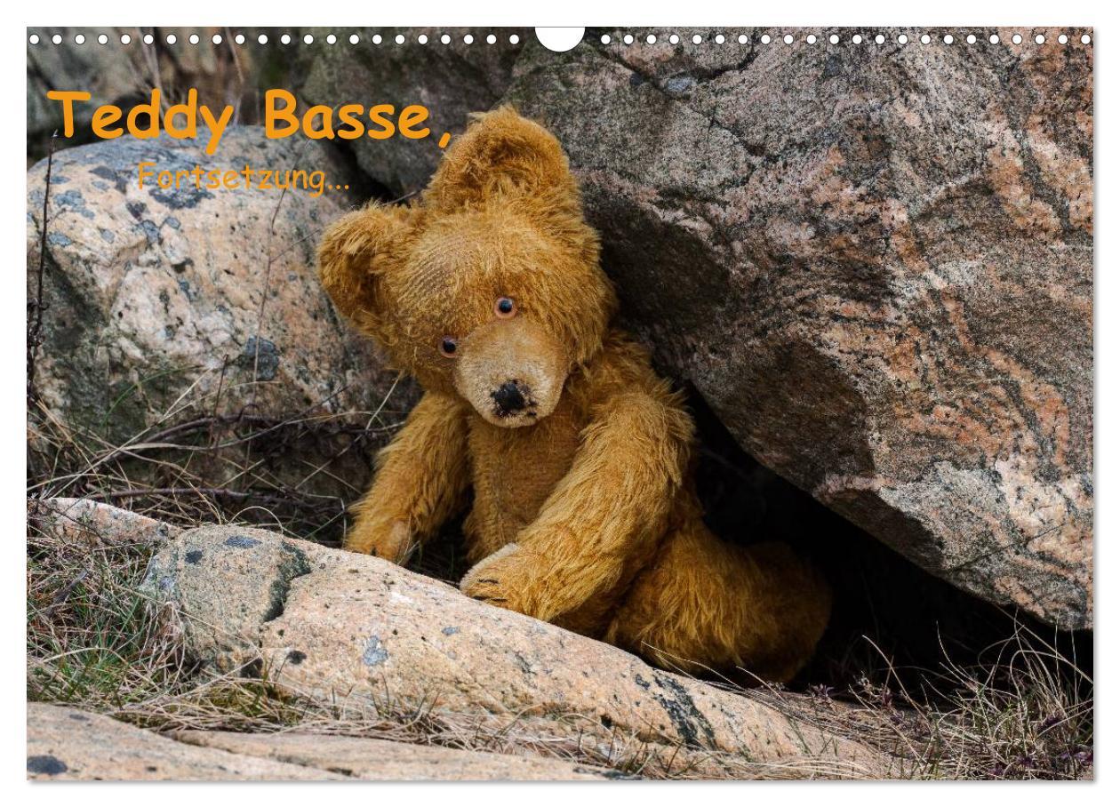 Cover: 9783435674084 | Teddy Basse, Fortsetzung... (Wandkalender 2025 DIN A3 quer),...