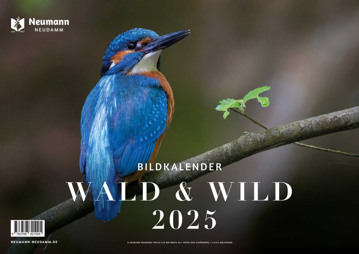 Cover: 9783788820992 | Wald &amp; Wild 2025 | Themenkalender | Kalender | 13 S. | Deutsch | 2025