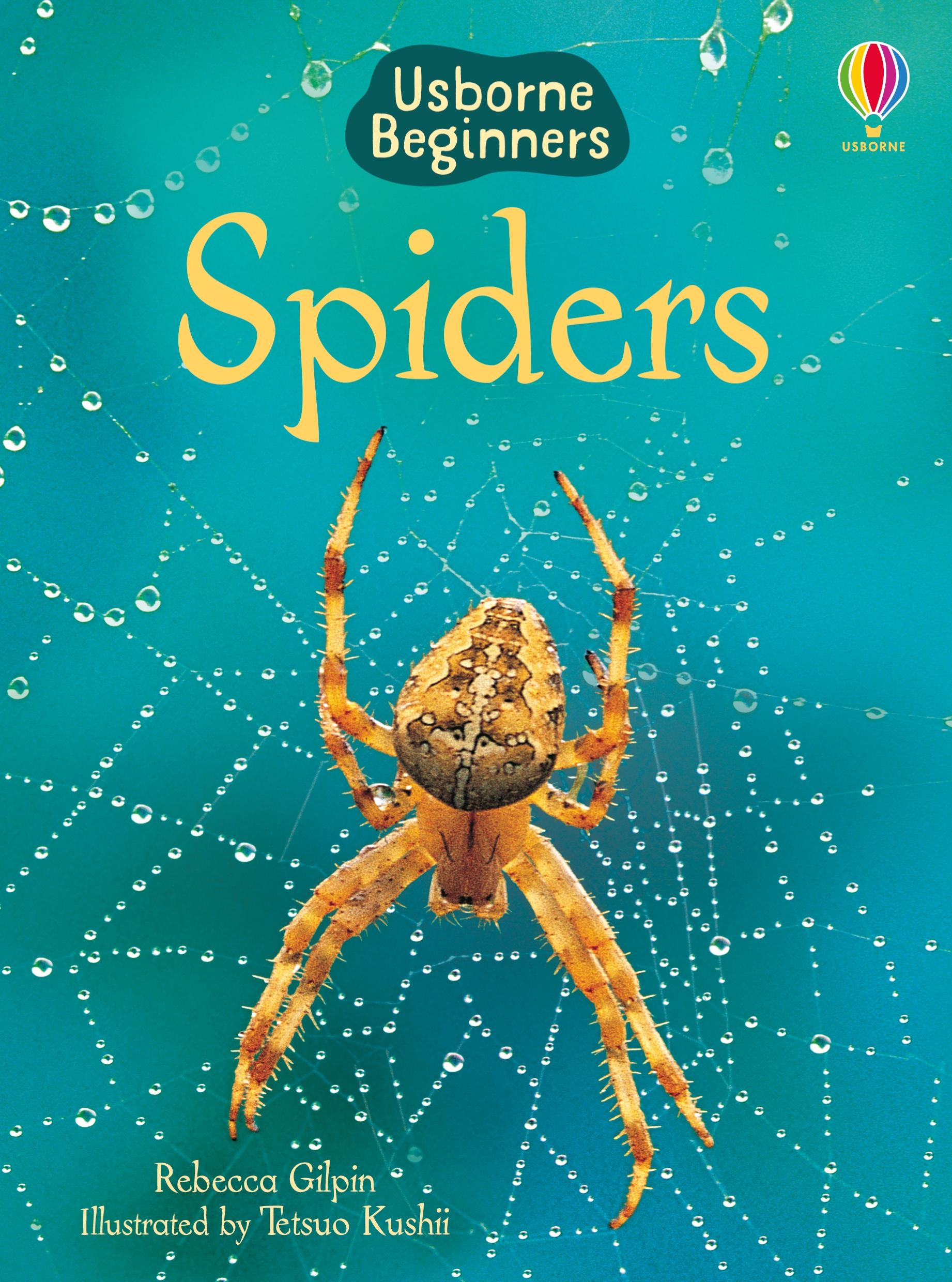 Cover: 9780746074794 | Spiders | Rebecca Gilpin | Buch | Gebunden | Englisch | 2007