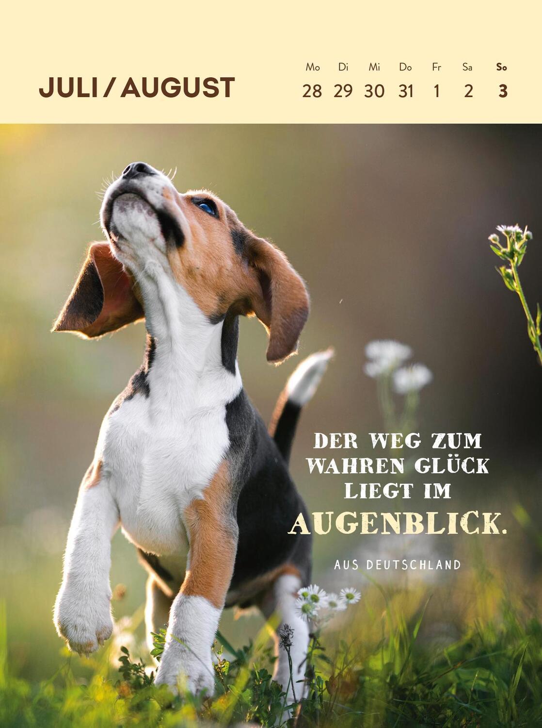 Bild: 4036442012123 | Wochenkalender 2025: Hunde sind die besten Freunde | Groh Verlag