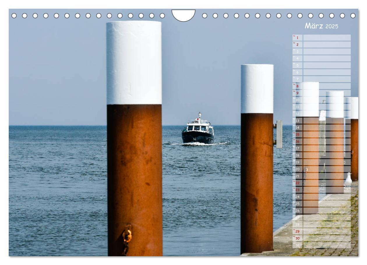 Bild: 9783435359097 | Ein Sommer auf Texel (Wandkalender 2025 DIN A4 quer), CALVENDO...