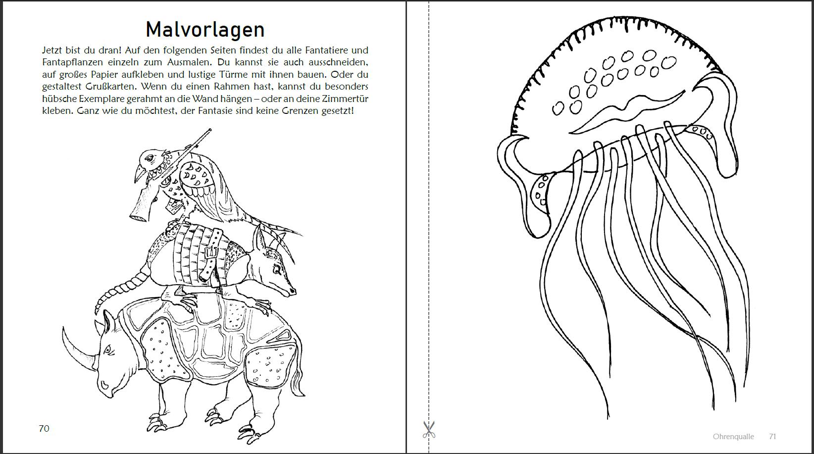 Bild: 9783990820322 | Ausmalspaß + Wissen: Fantatiere - Malbuch ab 6 Jahre. Artenvielfalt...