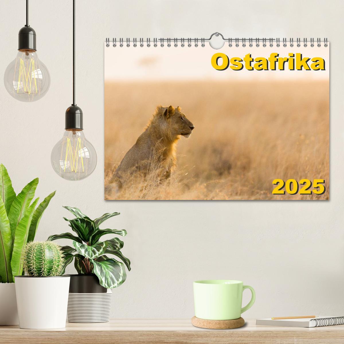 Bild: 9783435563241 | Ostafrika (Wandkalender 2025 DIN A4 quer), CALVENDO Monatskalender