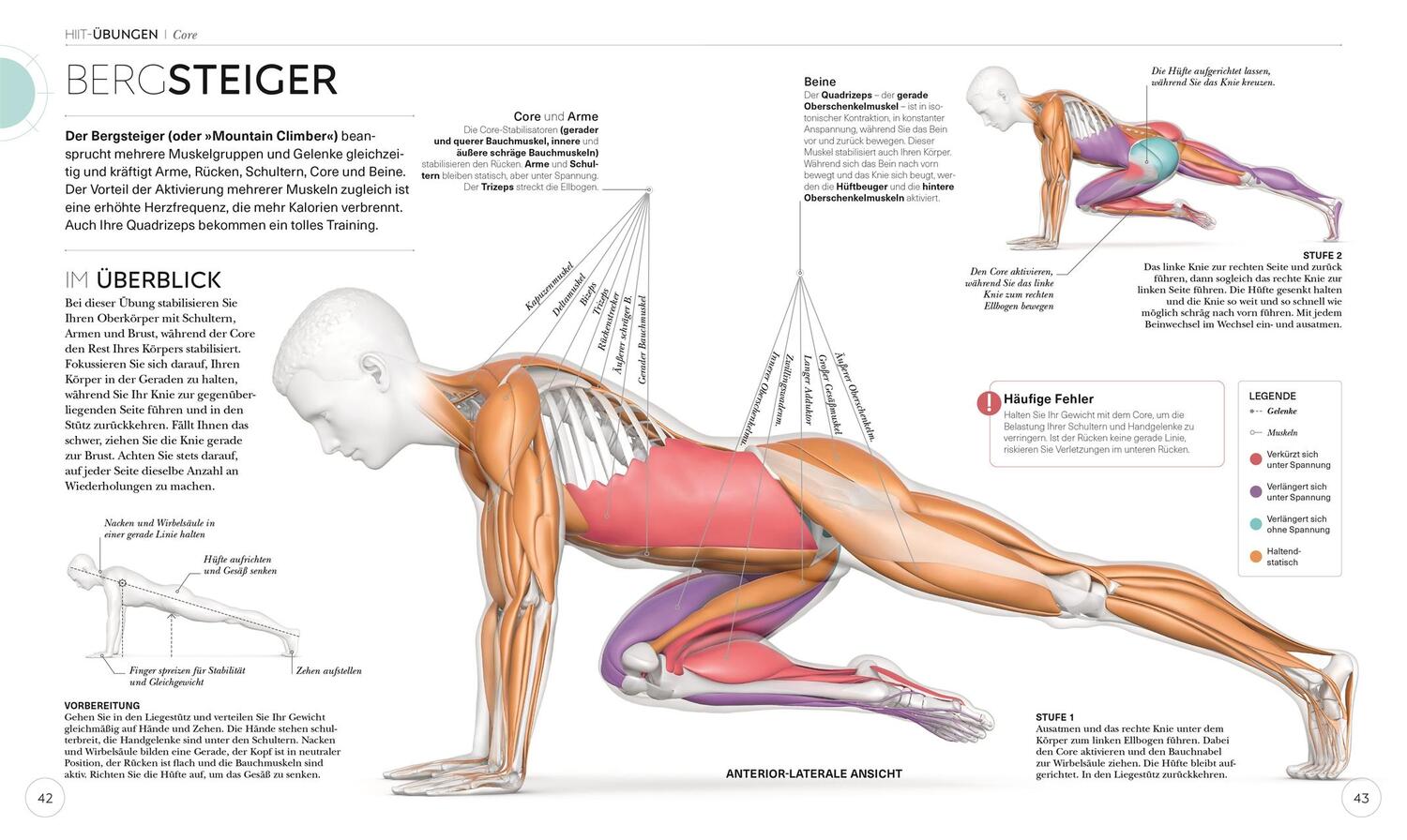 Bild: 9783831045303 | HIIT - Die Anatomie verstehen | Ingrid S. Clay | Taschenbuch | 224 S.