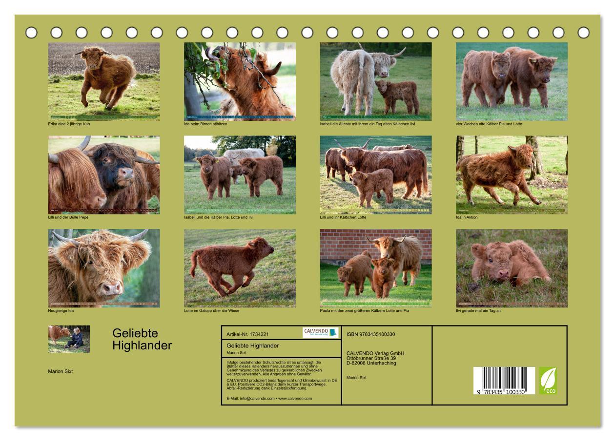 Bild: 9783435100330 | Geliebte Highlander (Tischkalender 2025 DIN A5 quer), CALVENDO...