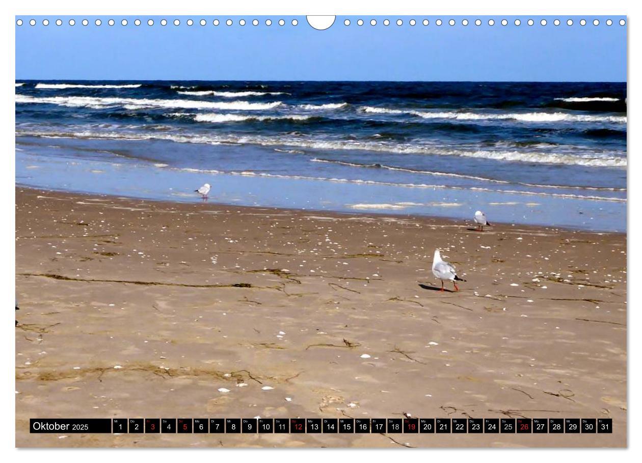 Bild: 9783435663149 | USEDOM - Seebäder und Naturparadies (Wandkalender 2025 DIN A3...