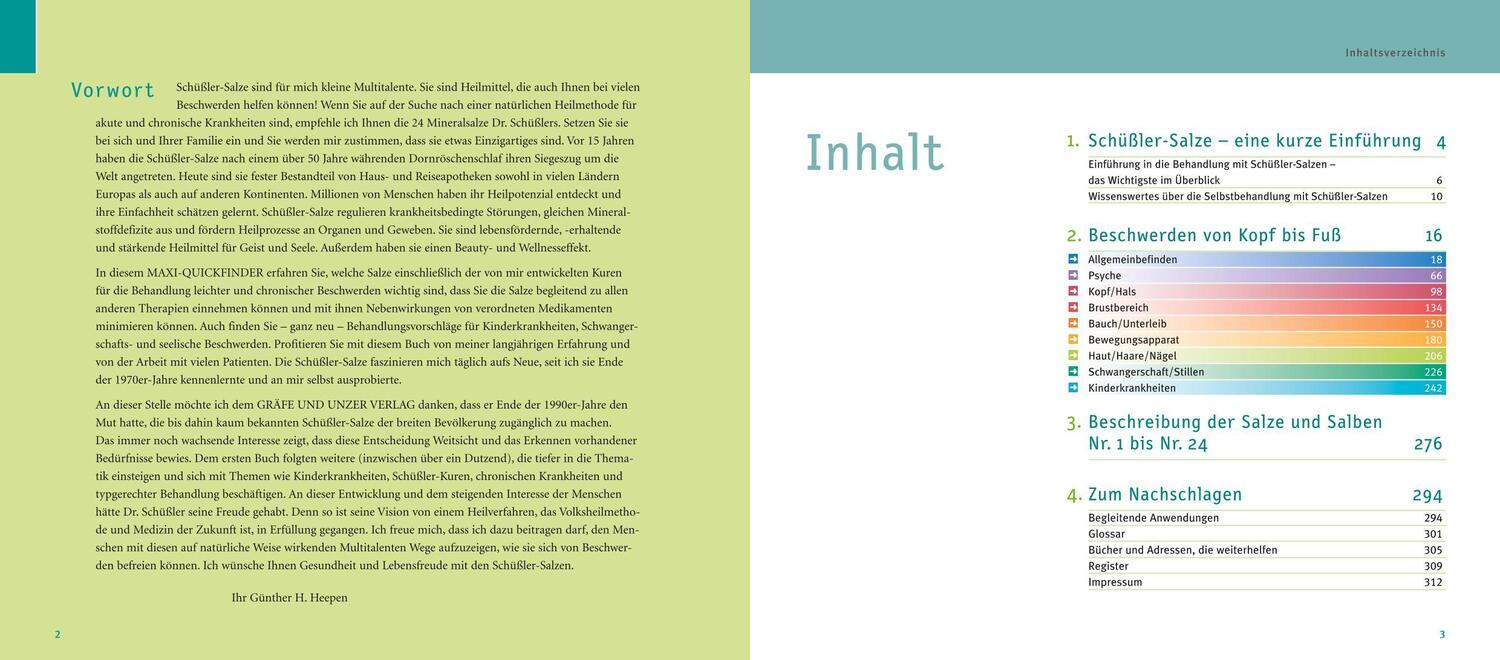 Bild: 9783833845680 | Maxi-Quickfinder Schüßler-Salze | Günther H. Heepen | Buch | 312 S.