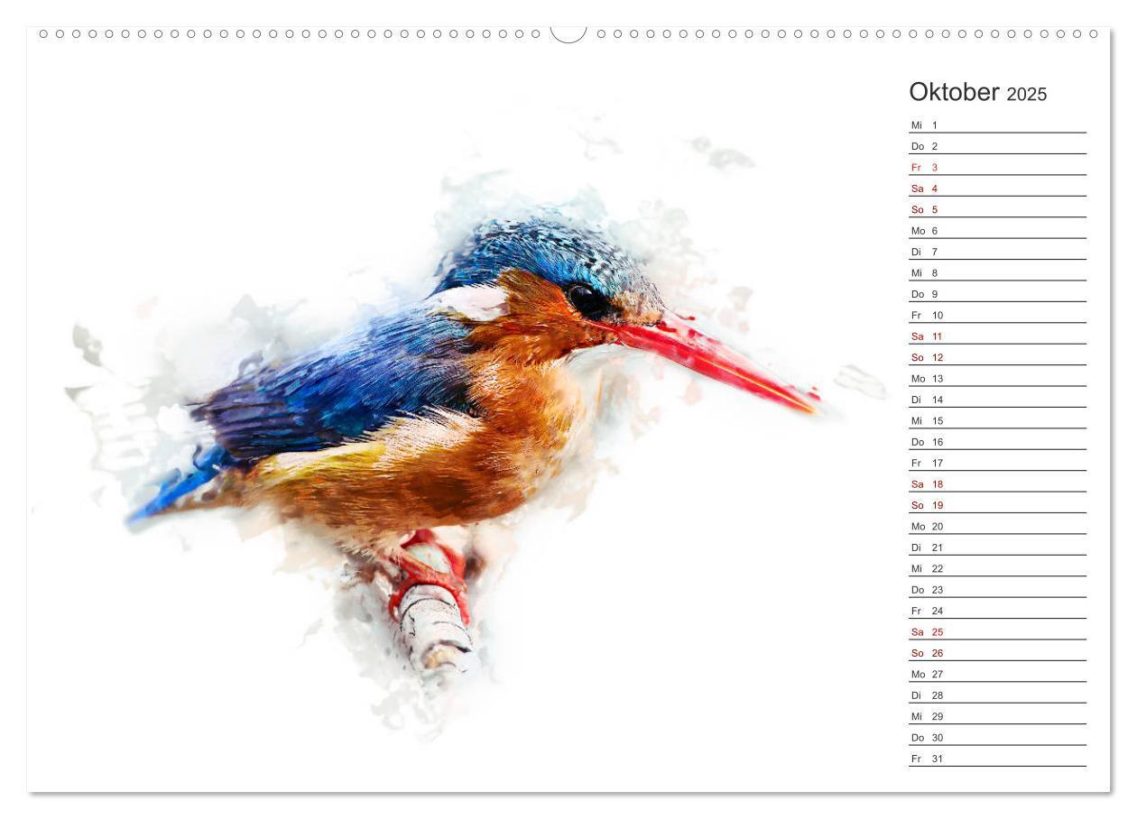 Bild: 9783435403387 | Tierportraits - Fine Art (Wandkalender 2025 DIN A2 quer), CALVENDO...