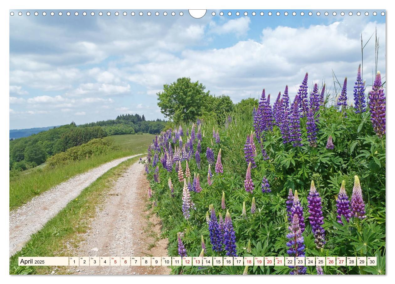 Bild: 9783435222315 | Viele Wege - ein Ziel Wandern im Odenwald (Wandkalender 2025 DIN A3...