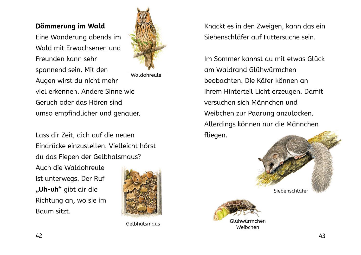 Bild: 9783440181690 | Lesen lernen mit Naturrätseln, Bücherhelden 2. Klasse, Tiere und...