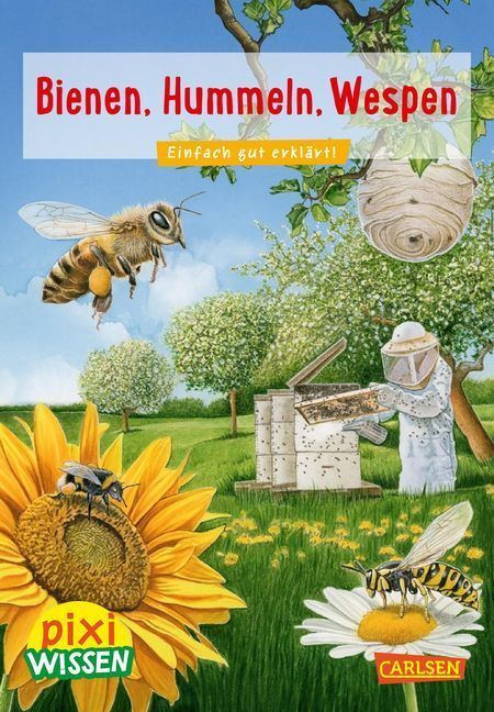 Cover: 9783551241917 | Pixi Wissen 104: Bienen, Hummeln, Wespen | Einfach gut erklärt | 32 S.