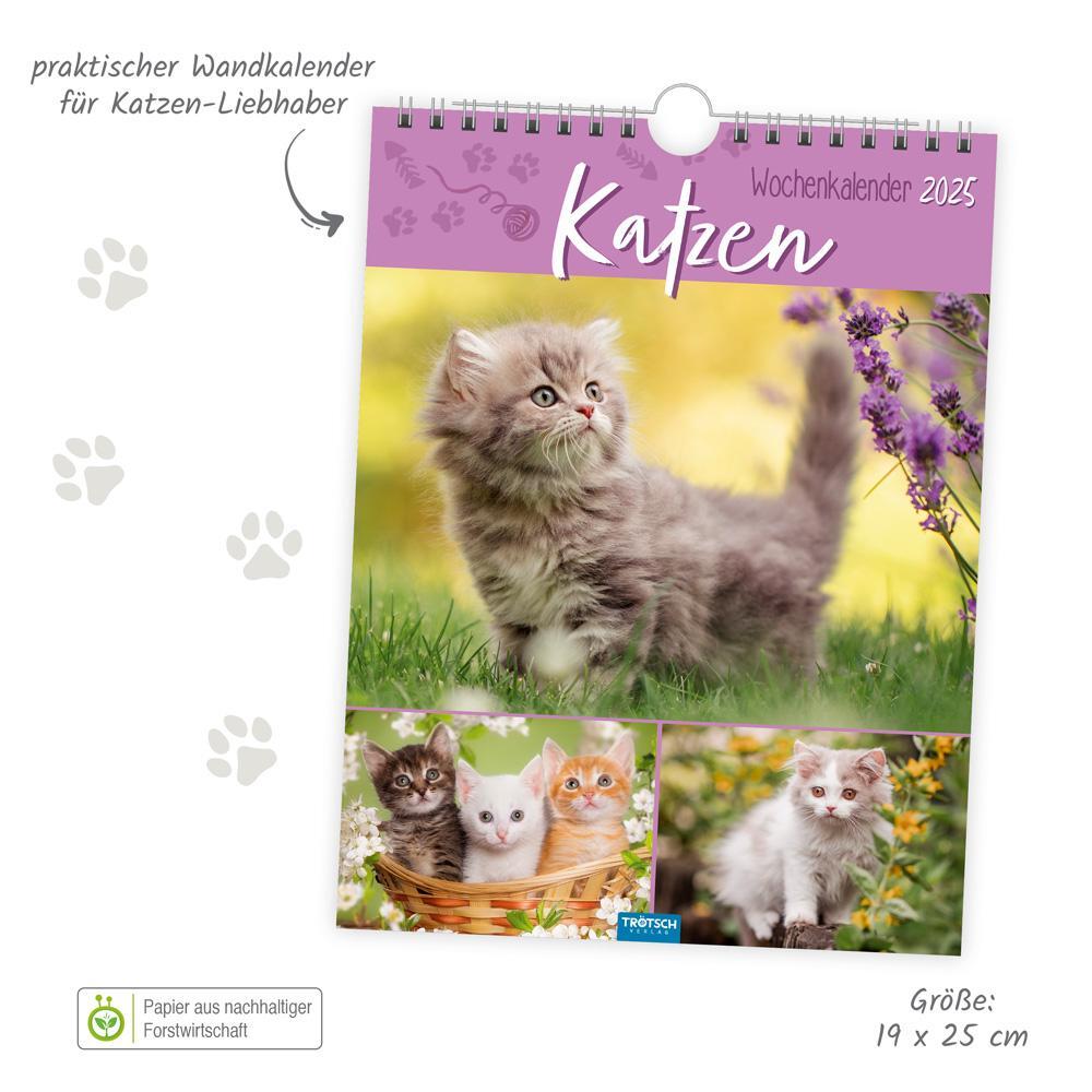 Bild: 9783988022707 | Trötsch Wochenkalender zum Hängen Katzen 2025 | Wandkalender | KG